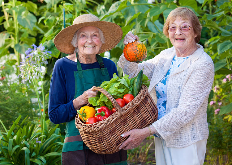 Comfortable Assisted Living Florence