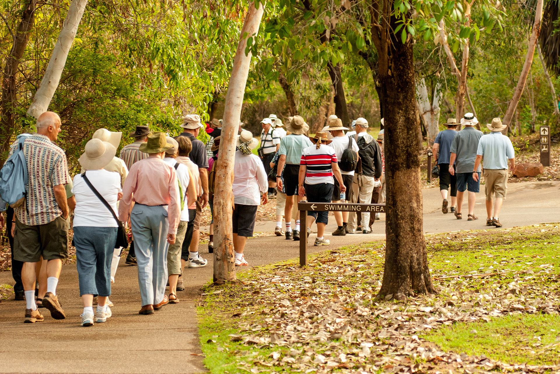 Caregiver Assistance Programs in St Cloud