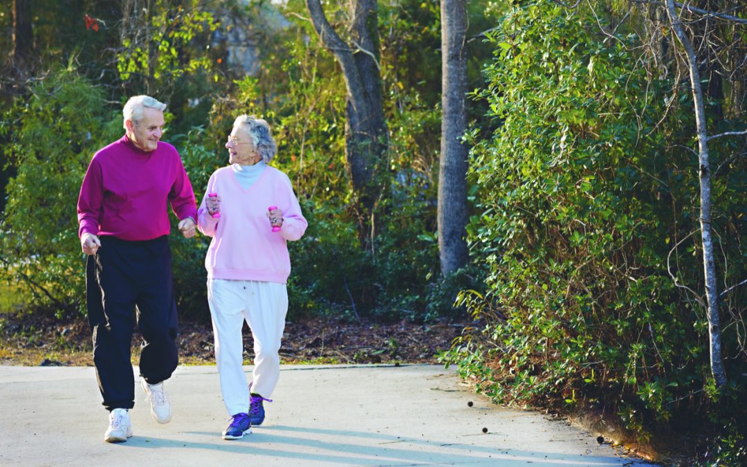 Seniors Exercising